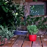 Bluemchen