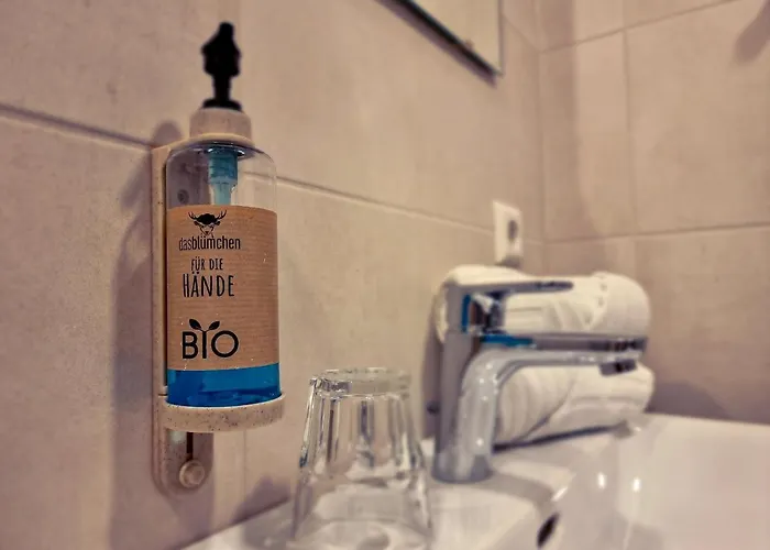 Bluemchen Friburgo in Brisgovia